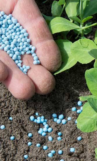 Leading Fertilizer Manufacturers in Maharashtra India