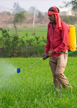 Leading Fertilizer Manufacturers in Maharashtra India